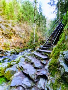 Ravennaschlucht im schwarzwald beliebten ausflugsziel