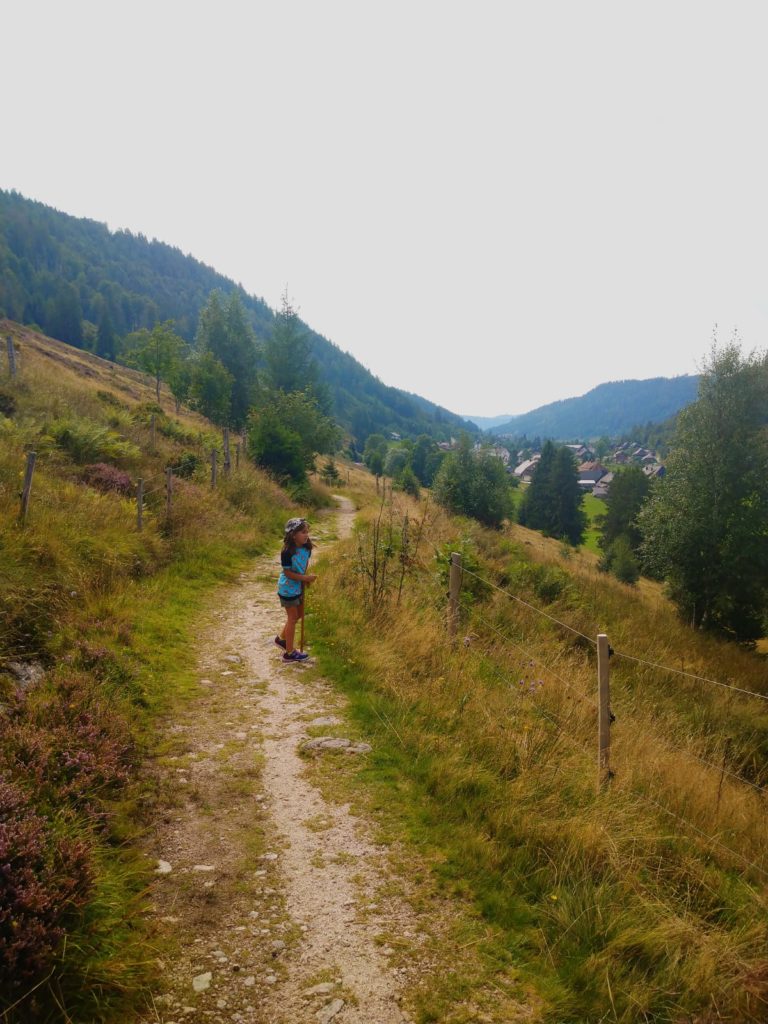 wanderwegs geissenpfad geniesserpfad menzenschwand am feldberg