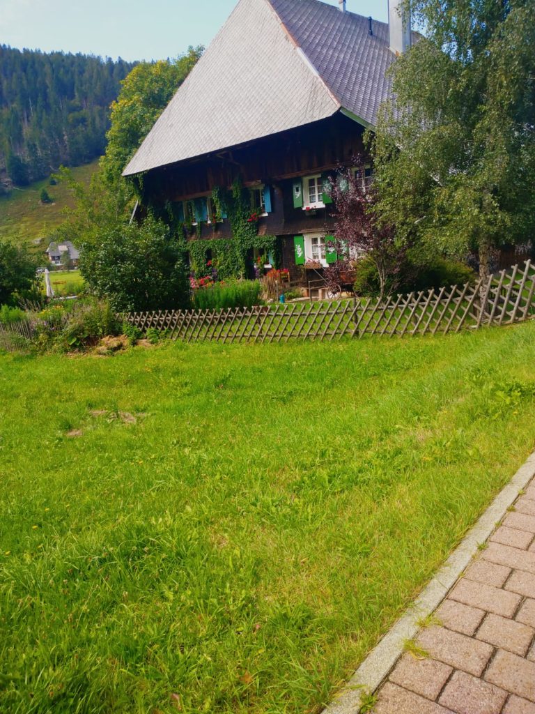 schwarzwaldhaus am wanderweg geissenpfad geniesserpfad am feldberg