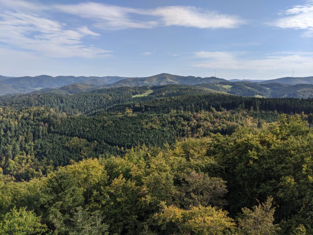 Ausblick in den Schwarzwald vom urenkopf