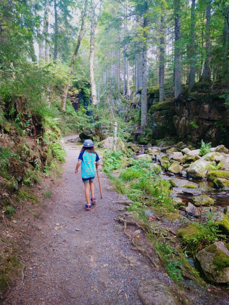 wanderweg-geniesserpfad-geissenpfad am bachlauf