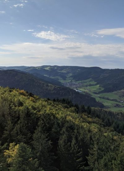 schwarzwald-wanderung-ausflug schwarzwald wanderung im kinzigtal zum urenkopf