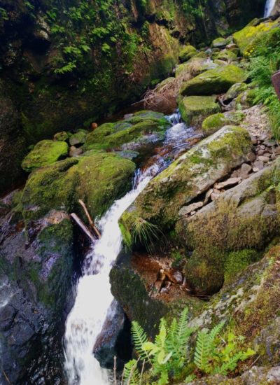 bachlauf-schwarzwald-geissenpfad wasserfall mit bachlauf menzenschwander geissenpfad
