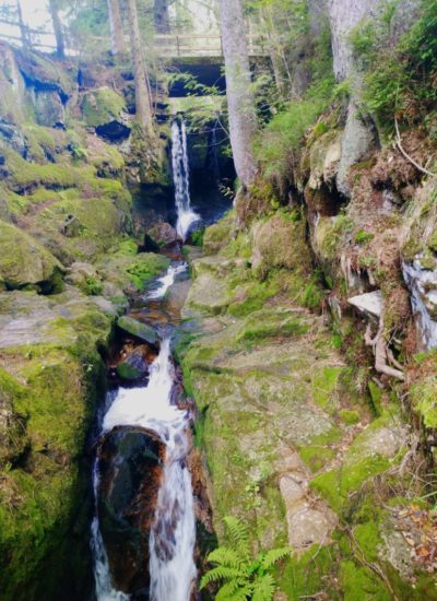 wasserfall-schwarzwald-geissenpfad wasserfall auf dem geissenpfad beim feldberg